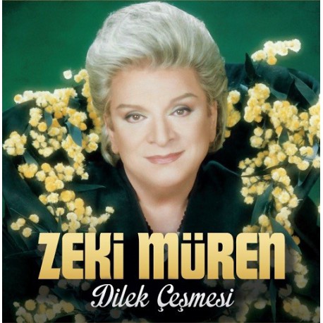 Zeki Müren: Dilek Çeşmesi / Plak