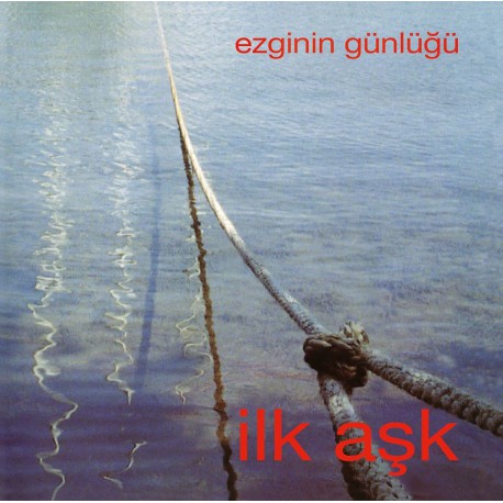 Ezginin Günlügü: İlk Aşk / Plak