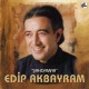 Edip Akbayram: Şahdamar / Plak