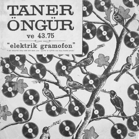 Taner Öngür & 43.75: Elektrik Gramofon (Siyah Plak) / Plak